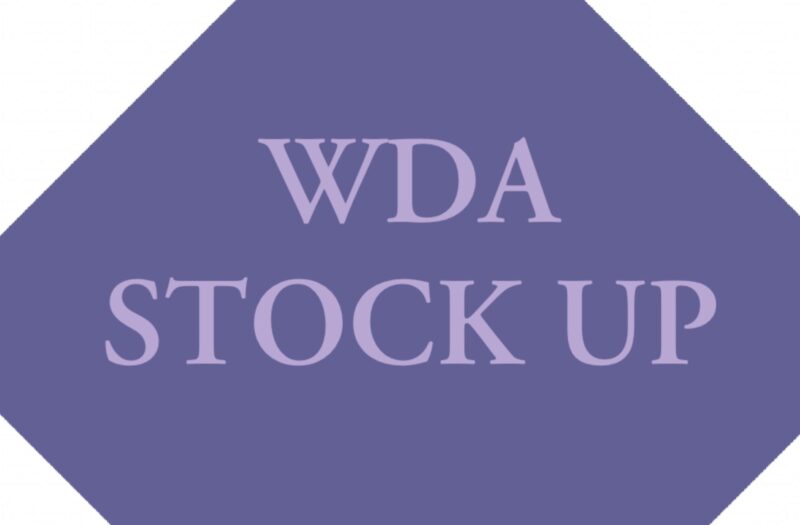 WDA Stock Up