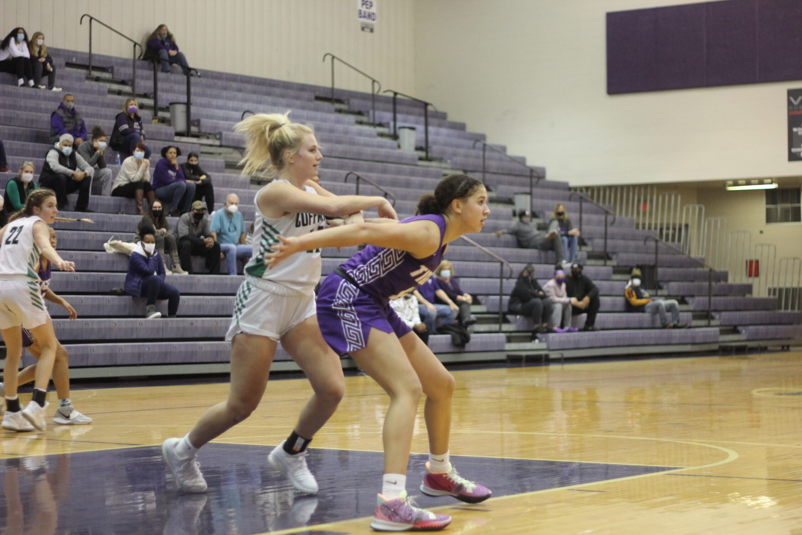 Central Ohio D1 Tournament Matchups Part 1 Prep Girls Hoops