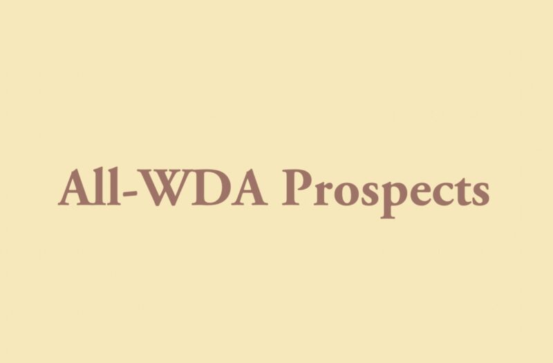 2020-2021 All-WDA Team Prospects