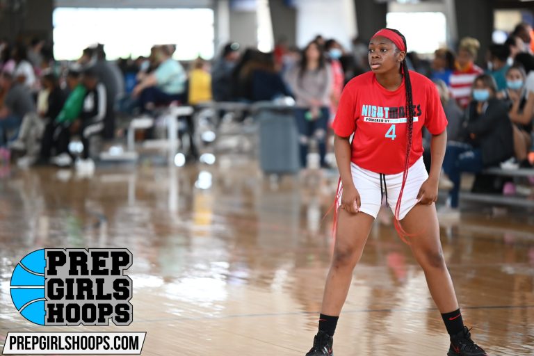 2023: Newcomers - Latest Additions