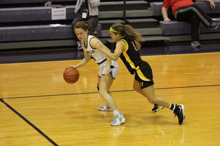 D1 Dayton Sectional Sleepers