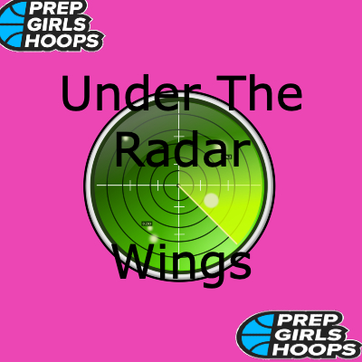 Under-The-Radar 2024 Wings