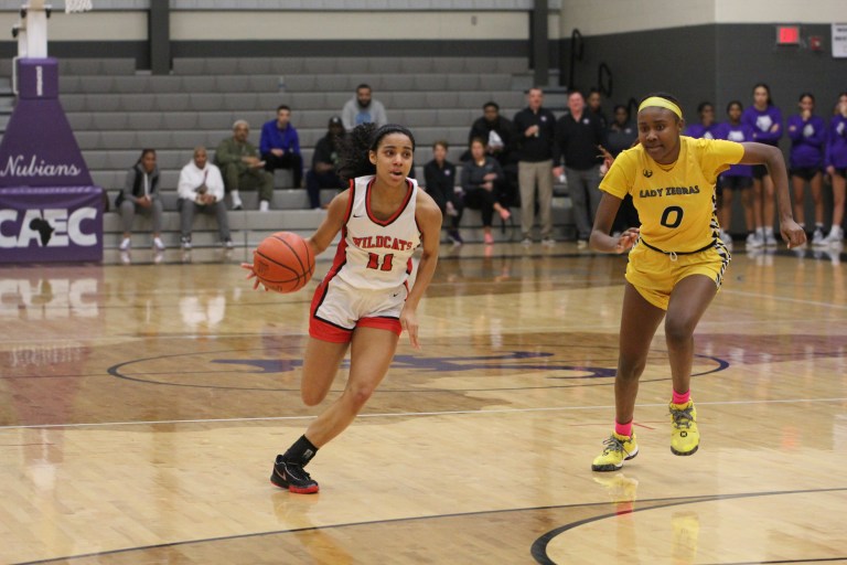 State Tourney Preview- Central D1 Sectionals