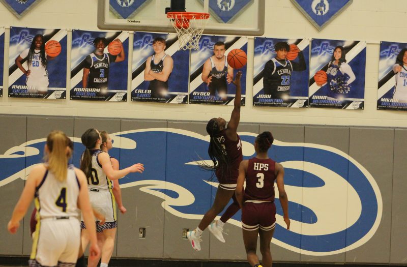 2026 Stockrisers- Climbing Up the Rankings!