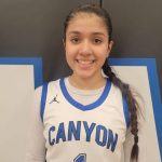 Top lead guards that I saw this week