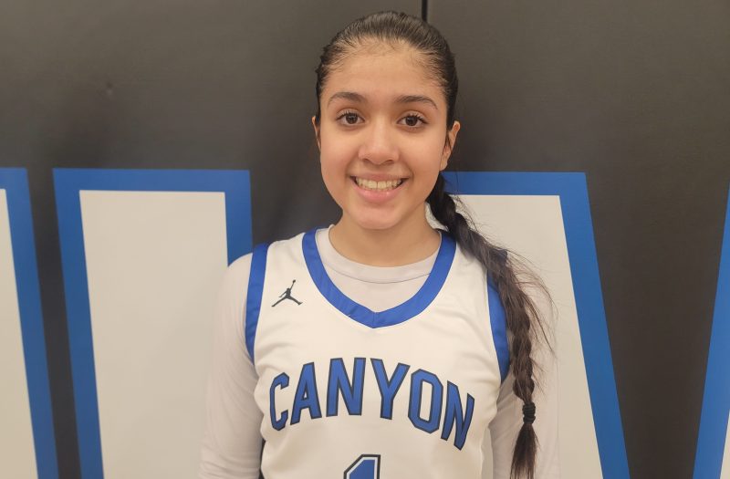 Top lead guards that I saw this week