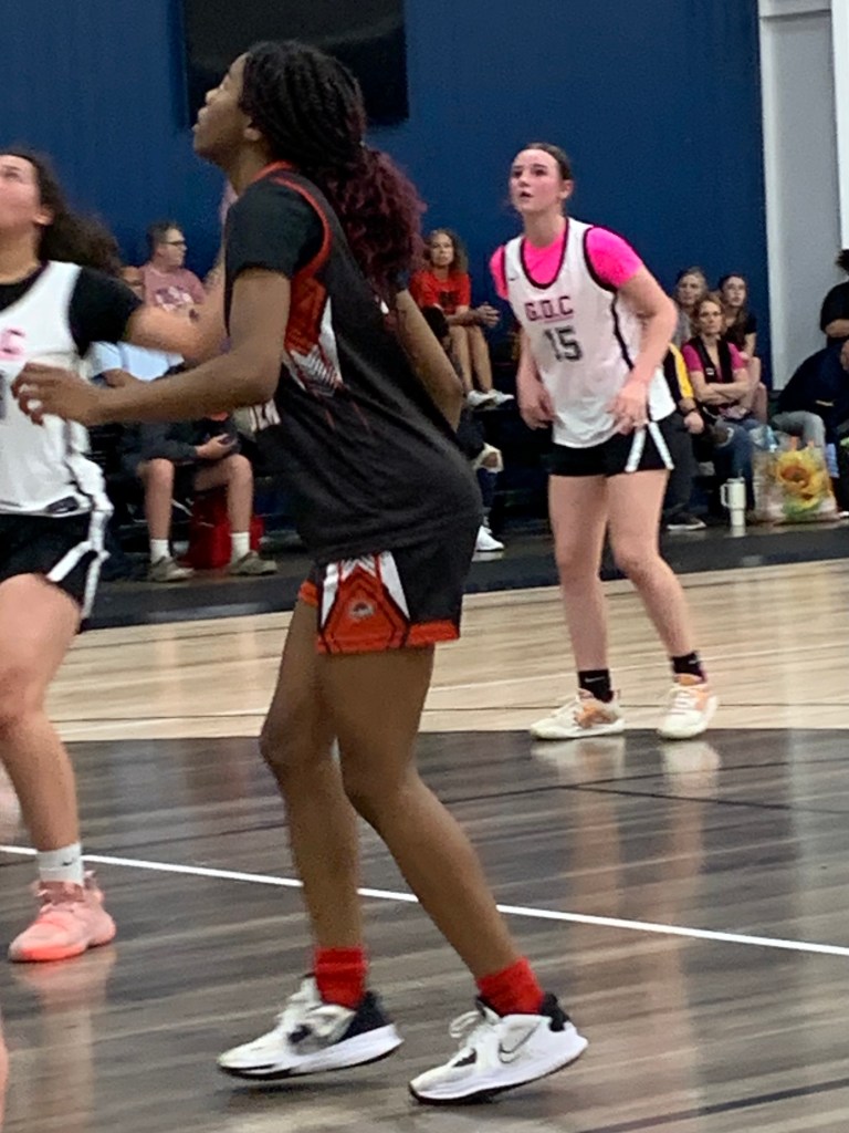 Border War 2023-Stock Risers