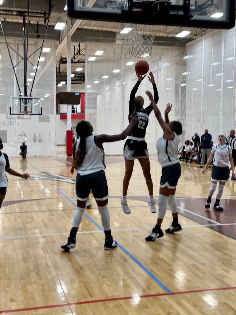 2024 Rankings: New Forwards