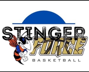 Stinger-Force
