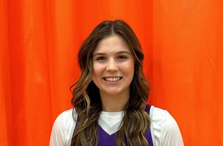 The Beasts on the Boards: Catawba Valley Conference