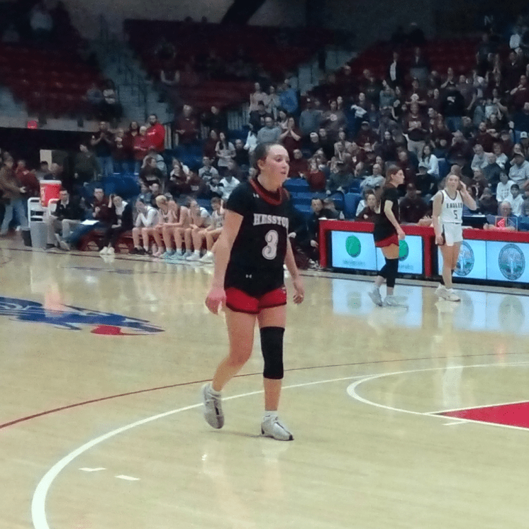 Players to Watch at the 2025 3A State Tournament