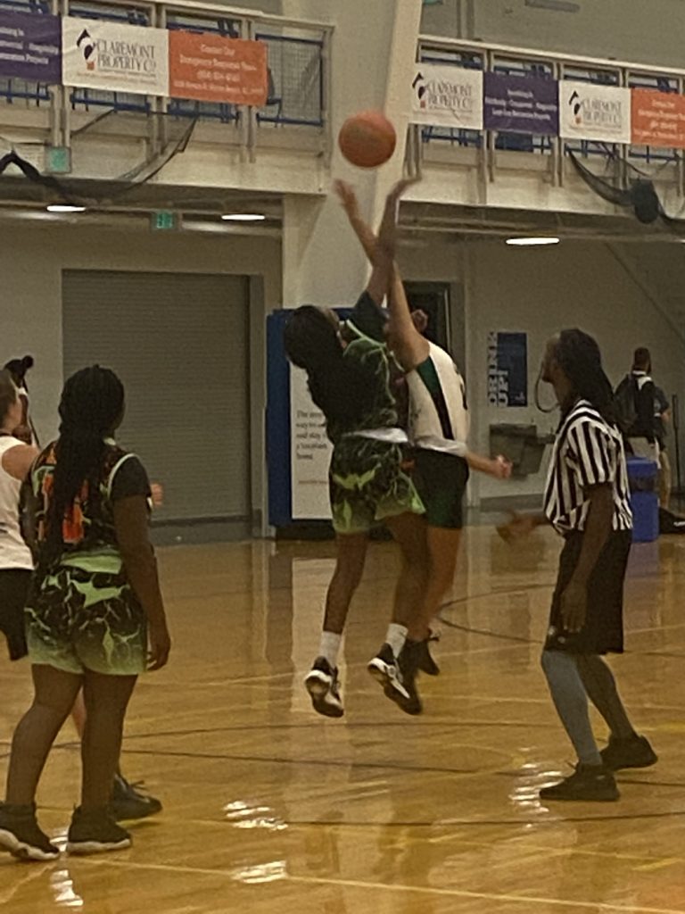 Teorie Felton