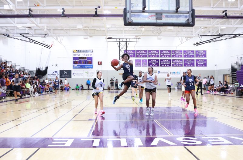 Rankings Update: 2025 Stockrisers and Newcomers
