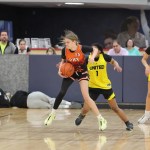 Central Division 7 Sectional Preview