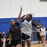 Eye Catching Stock Risers: Peggy Whitley Classic