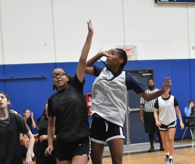 Eye Catching Stock Risers: Peggy Whitley Classic