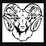 Whitehall-Yearling