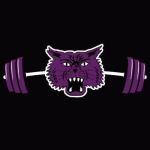 Muncie Central