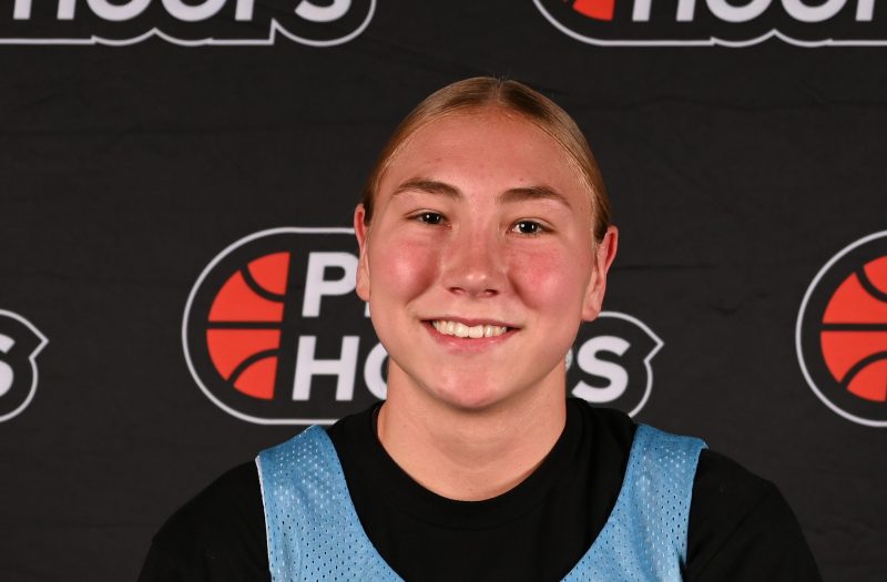Summer Stock-Risers : Offers and Development (Part 1)