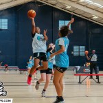 Prep Girls Hoops VA: Top Transfers