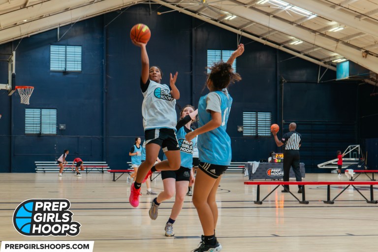 Prep Girls Hoops VA: Top Transfers