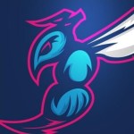 MidWest Hornets Basketball