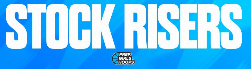 Massive Snowfalls And The Must-Know Stock Risers