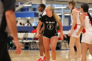 Ohio Team Preview: Big Walnut