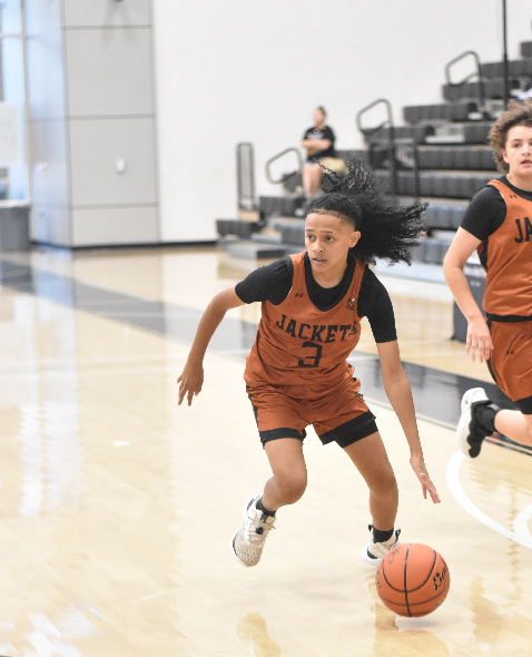 Standout Seniors New To Me #LadyTigerClassic