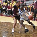 Fab 5 from Sandra Meadows Classic