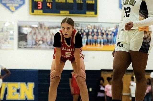 Under the radar stock risers SWFL
