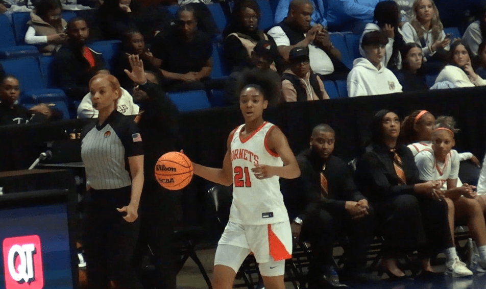 ToC Championship Scouting: Hornets, Hornets