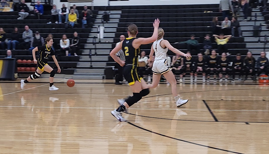 Haven Wildcat Classic Day 1 Quick Picks