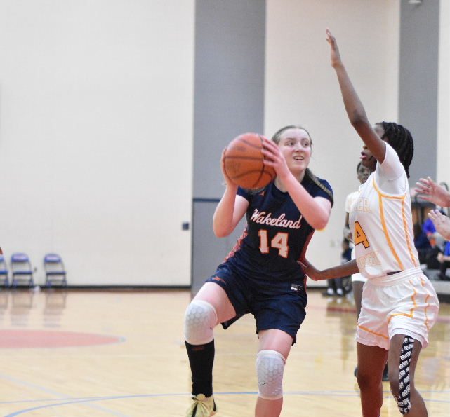 Stock Risers #SandraMeadowsClassic
