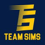 Team Sims