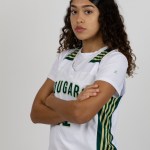 Avaya Brundidge