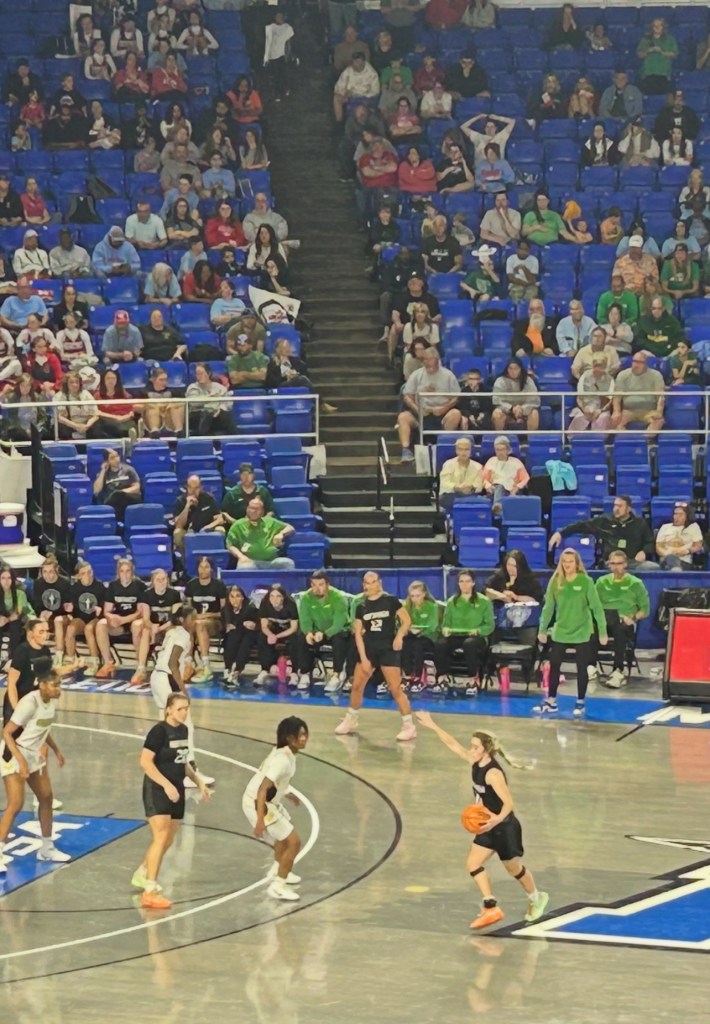 TSSAA 3A All-State Tournament Team