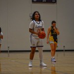 Terriyah Brumby