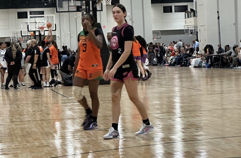 The Proving Ground D2/D3Showcase:  Preview of Carolina One (Pink)