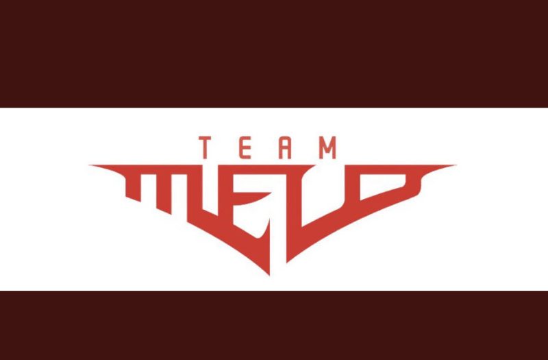 Summer Preview Volume 4: Team Melo