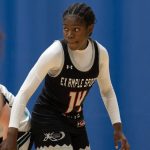 Western Illinois Standouts