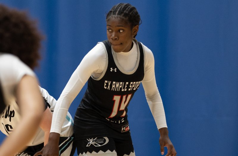 Western Illinois Standouts