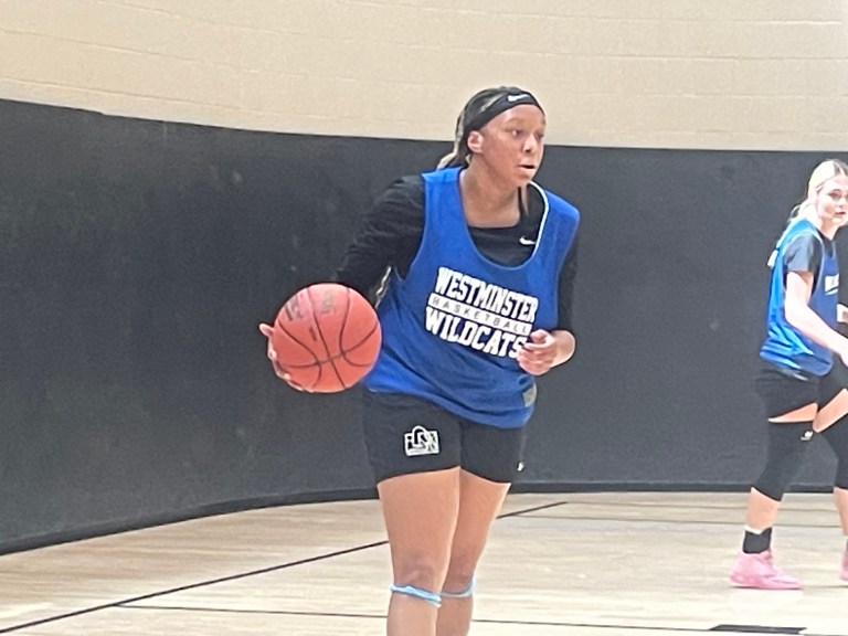 New Names of Point/Combo Guards at Lindenwood Team Camp