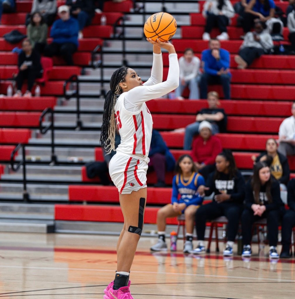 Rankings Update: 2026 Stock Risers