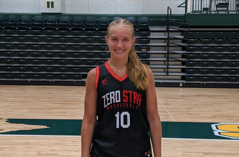 MHSAA Tourney Preview: District 33