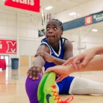 Tamiya Brown