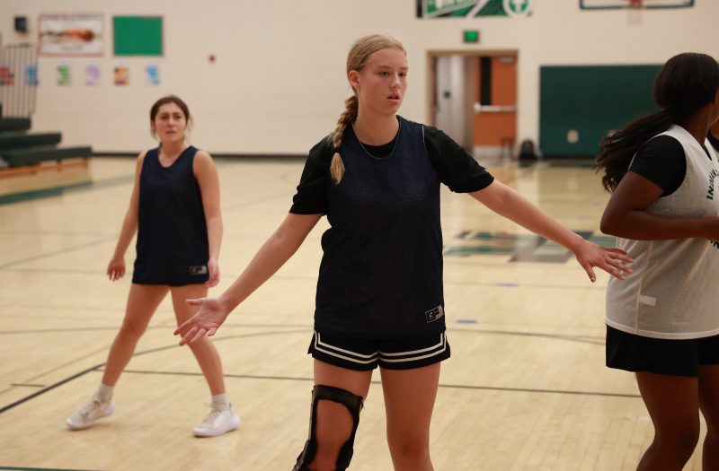 <span class="pn-tooltip pn-player-link">
        <span class="name-pointer">695 Hoops Fall League: Week 2 Standouts Newcomers</span>
        <span class="info-box not-prose" style="background: linear-gradient(to bottom, rgba(1,183,255, 0.95) 0%,rgba(1,183,255, 1) 100%)">
            <a href="https://prepgirlshoops.com/2025/09/695-hoops-fall-league-week-2-standouts-newcomers/" class="link-wrap">
                                    <span class="player-img"><img src="https://prepgirlshoops.com/wp-content/uploads/sites/4/2025/09/5I5A1502.jpg?w=150&h=150&crop=1" alt="695 Hoops Fall League: Week 2 Standouts Newcomers"></span>
                
                <span class="player-details">
                    <span class="first-name">695</span>
                    <span class="last-name">Hoops Fall League: Week 2 Standouts Newcomers</span>
                    <span class="measurables">
                                            </span>
                                    </span>
                <span class="player-rank">
                                                        </span>
                                    <span class="state-abbr"></span>
                            </a>

            
        </span>
    </span>
