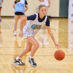 High School Section Tournament Previews: Class AA