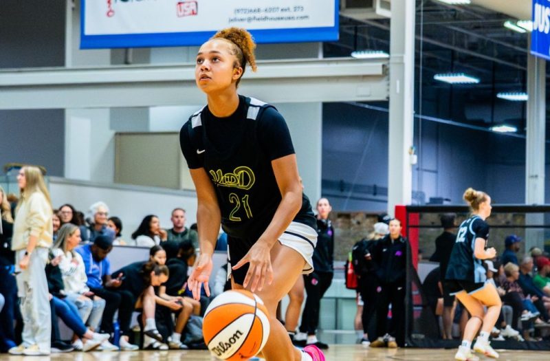 Rankings Update: 2027 Stock Risers