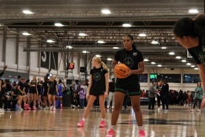 November Tip Off: The Previews